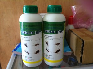 Thuốc diệt côn trùng GinGer 10SC